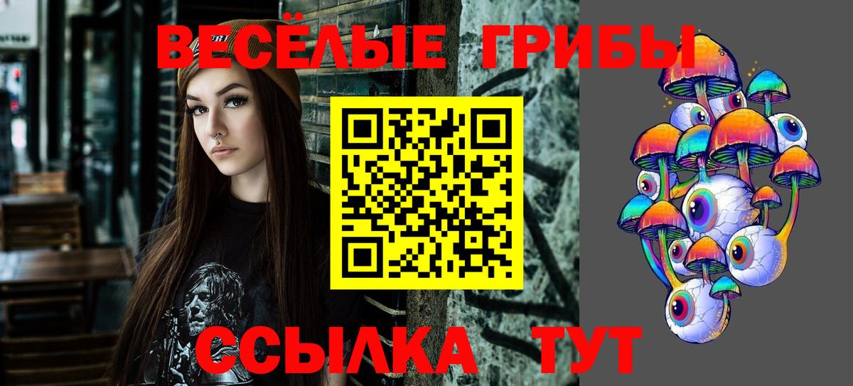 Галлюциногенные грибы Cubensis Чапаевск